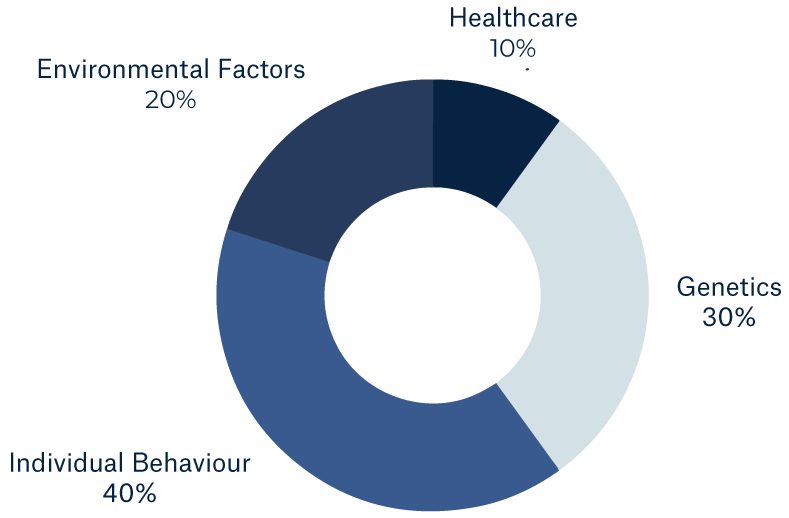 Persona Graph showing Individual Behaviour 40%, Genetics 30%, Environmental Factors 20%, Healthcare 10%